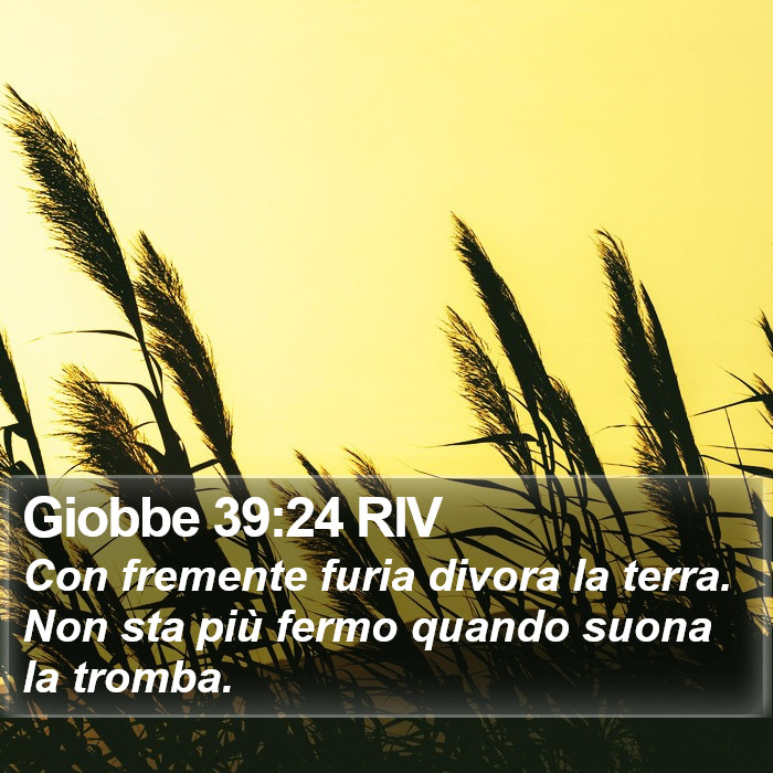 Giobbe 39:24 RIV Bible Study