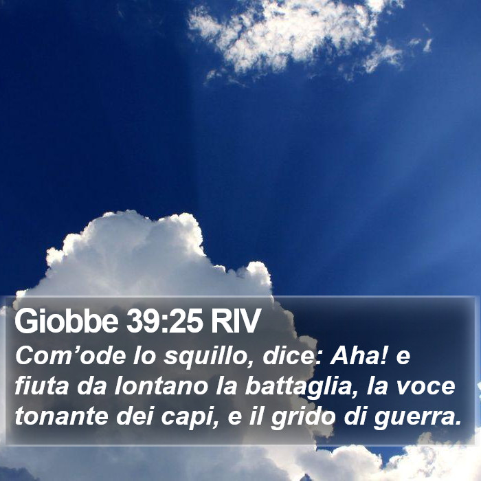 Giobbe 39:25 RIV Bible Study