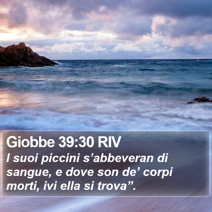 Giobbe 39:30 RIV Bible Study