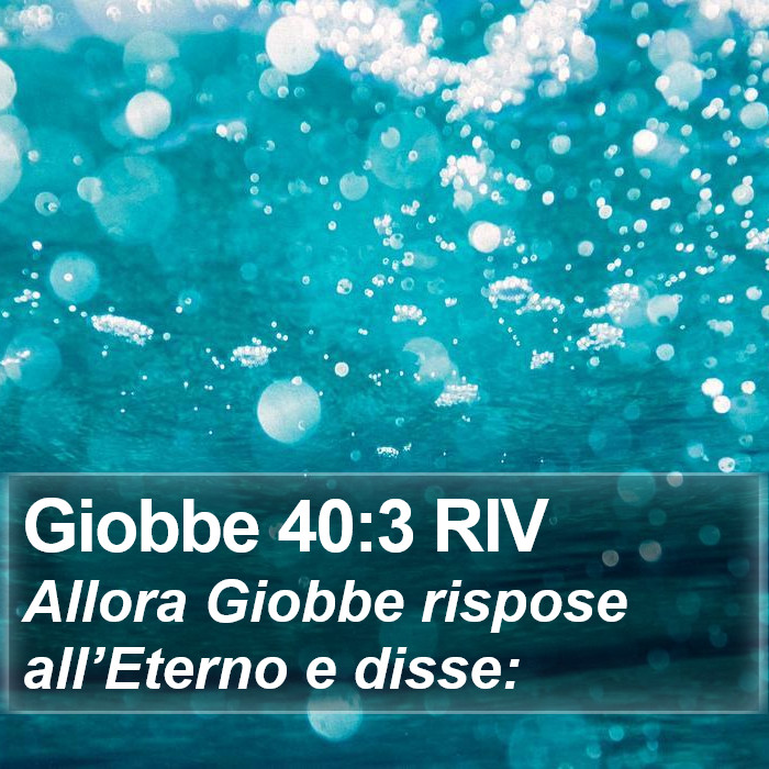 Giobbe 40:3 RIV Bible Study