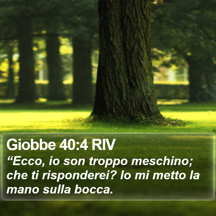Giobbe 40:4 RIV Bible Study