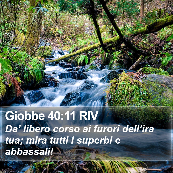 Giobbe 40:11 RIV Bible Study