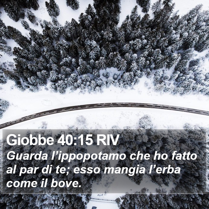 Giobbe 40:15 RIV Bible Study