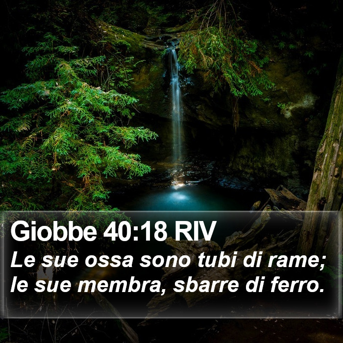 Giobbe 40:18 RIV Bible Study