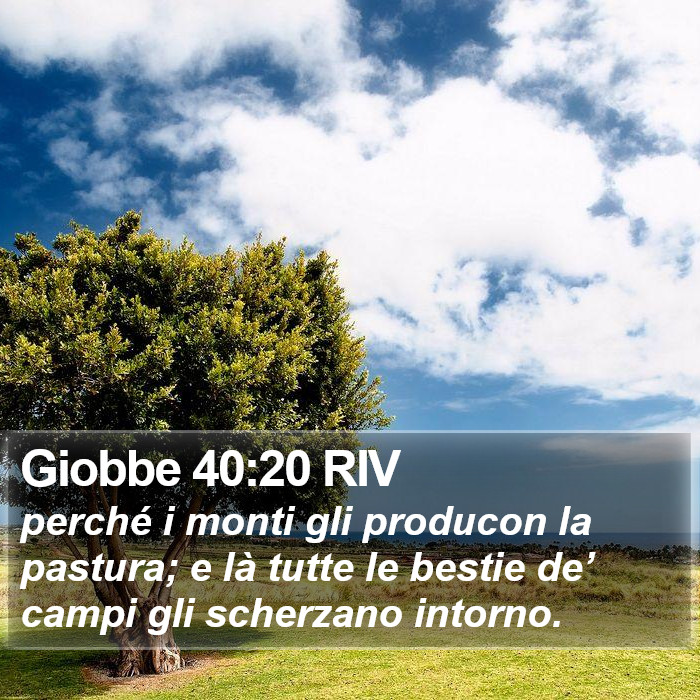 Giobbe 40:20 RIV Bible Study