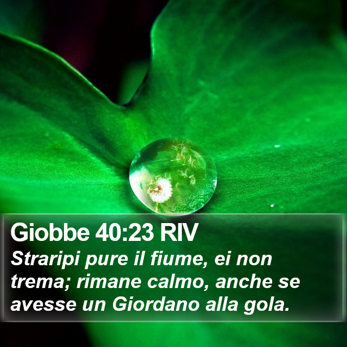 Giobbe 40:23 RIV Bible Study
