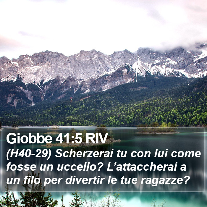 Giobbe 41:5 RIV Bible Study