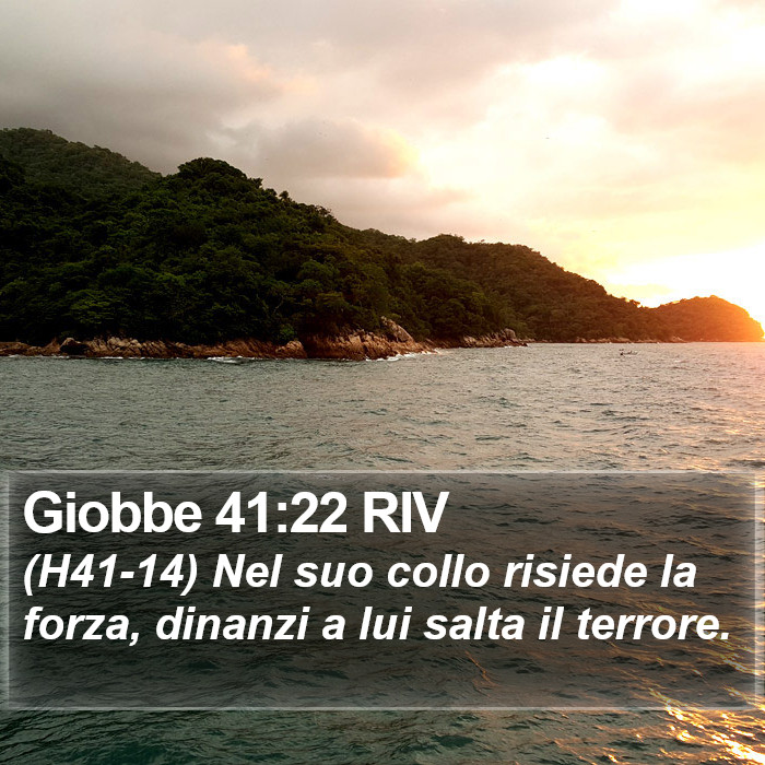 Giobbe 41:22 RIV Bible Study