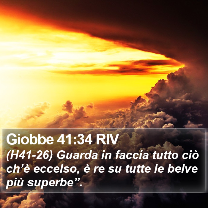 Giobbe 41:34 RIV Bible Study