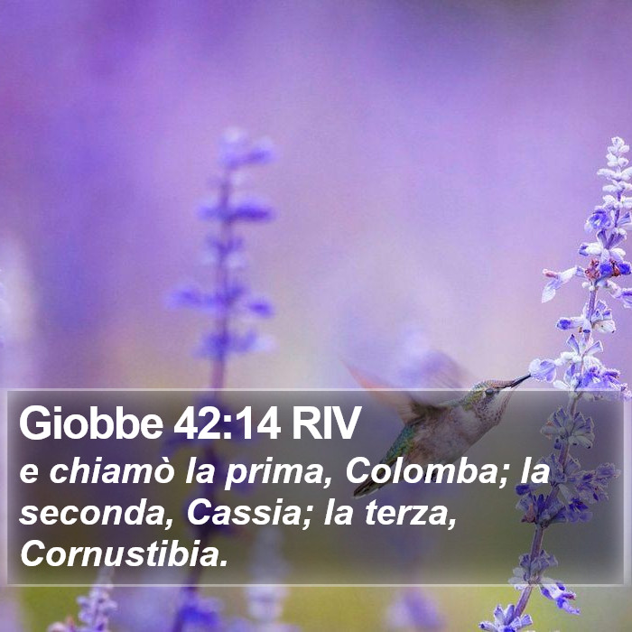 Giobbe 42:14 RIV Bible Study