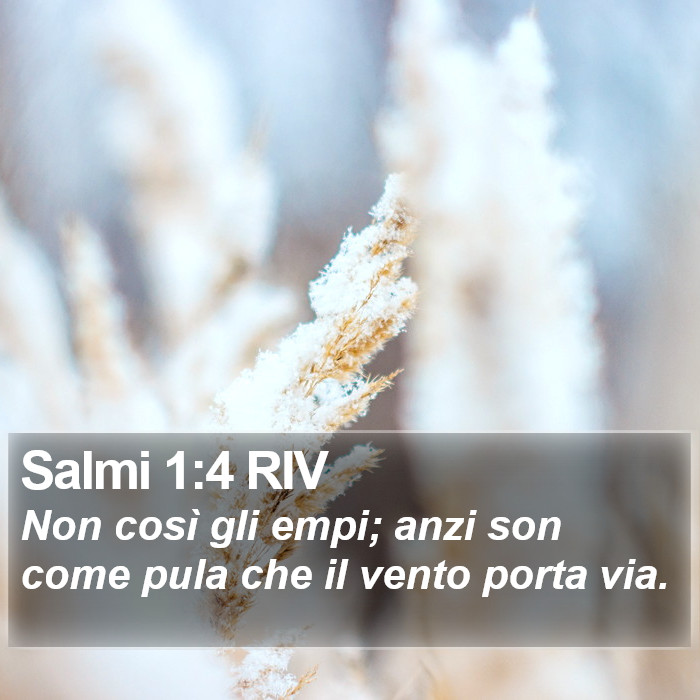 Salmi 1:4 RIV Bible Study