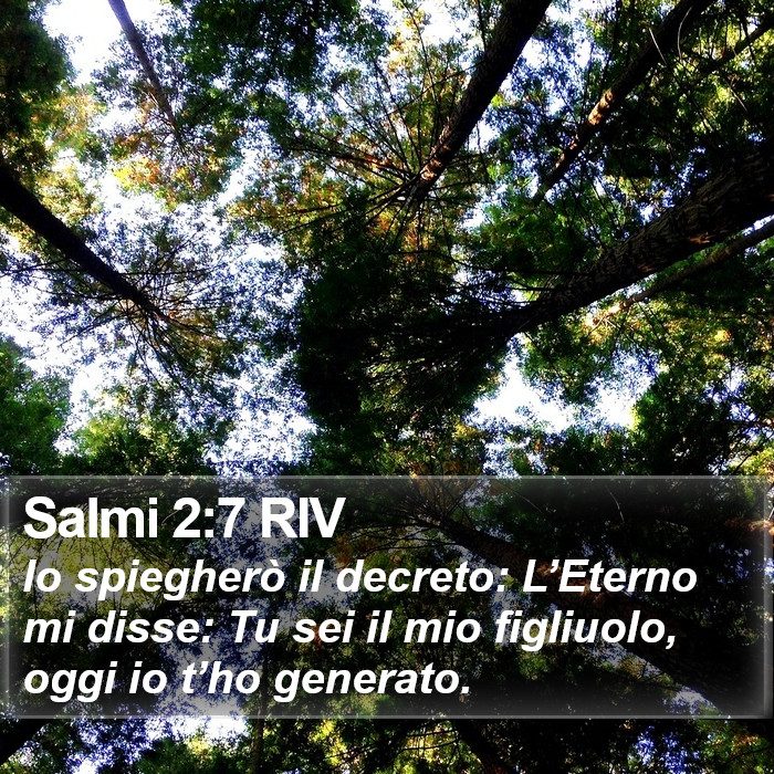 Salmi 2:7 RIV Bible Study