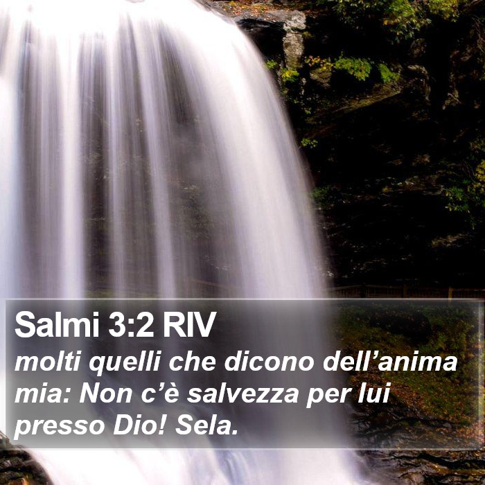 Salmi 3:2 RIV Bible Study
