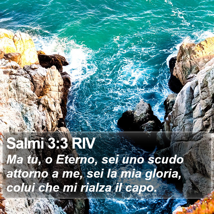 Salmi 3:3 RIV Bible Study