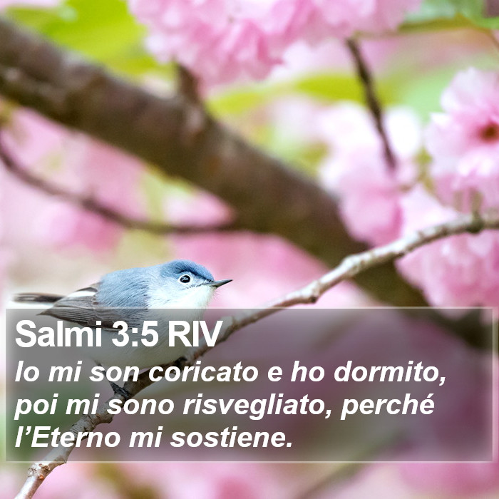 Salmi 3:5 RIV Bible Study