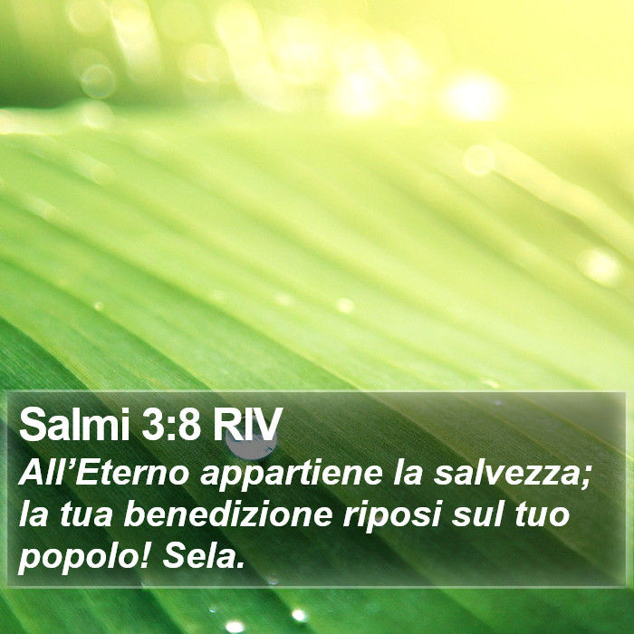 Salmi 3:8 RIV Bible Study