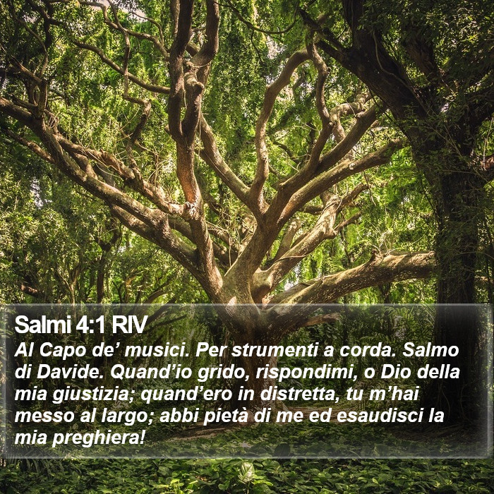 Salmi 4:1 RIV Bible Study