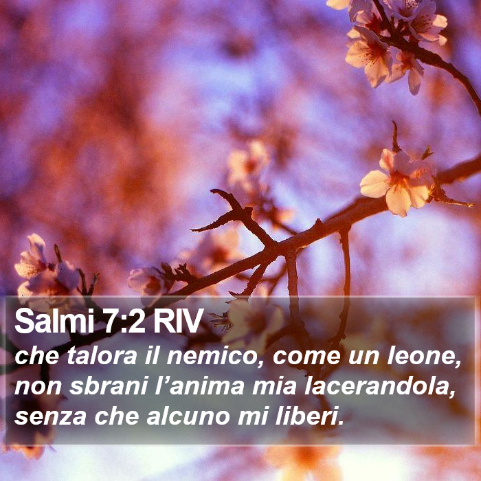 Salmi 7:2 RIV Bible Study