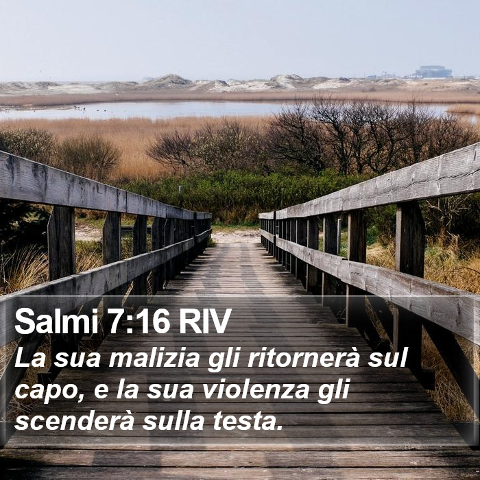 Salmi 7:16 RIV Bible Study