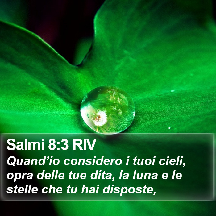 Salmi 8:3 RIV Bible Study