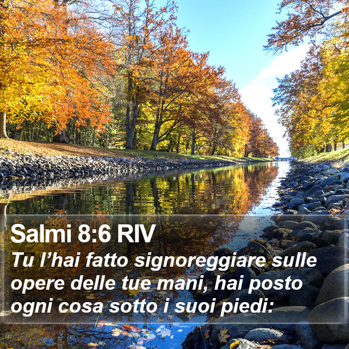 Salmi 8:6 RIV Bible Study