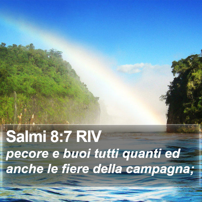 Salmi 8:7 RIV Bible Study