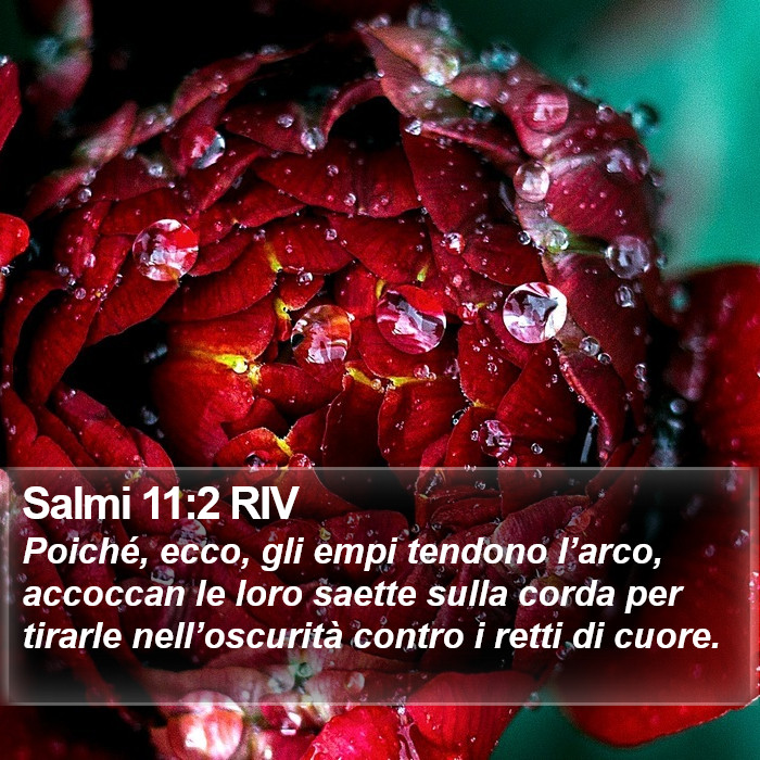 Salmi 11:2 RIV Bible Study