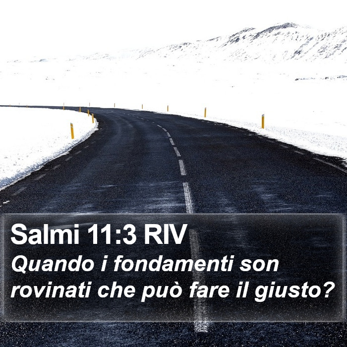Salmi 11:3 RIV Bible Study