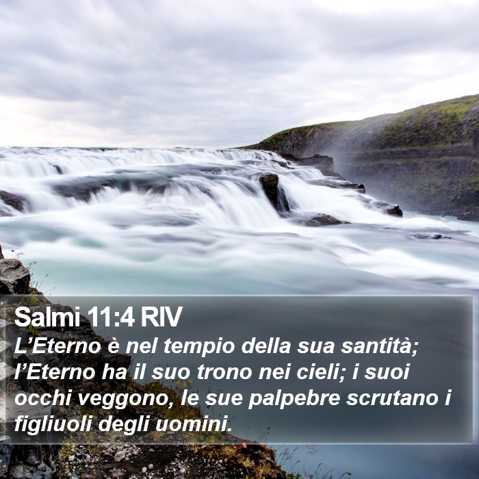 Salmi 11:4 RIV Bible Study