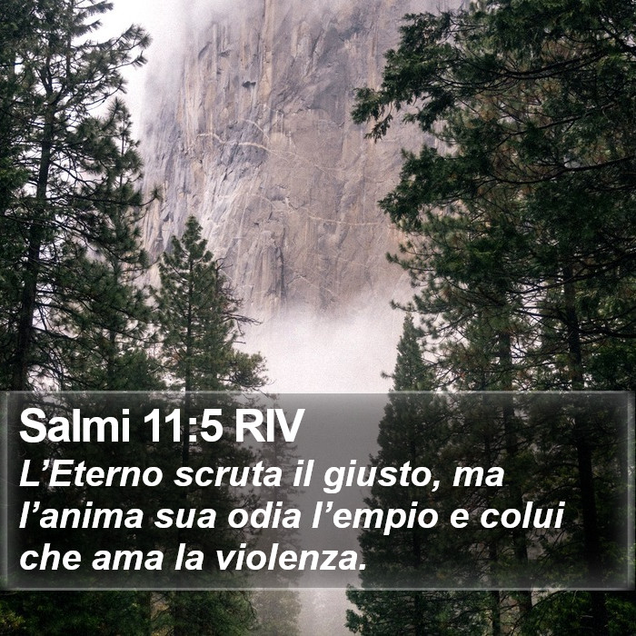 Salmi 11:5 RIV Bible Study