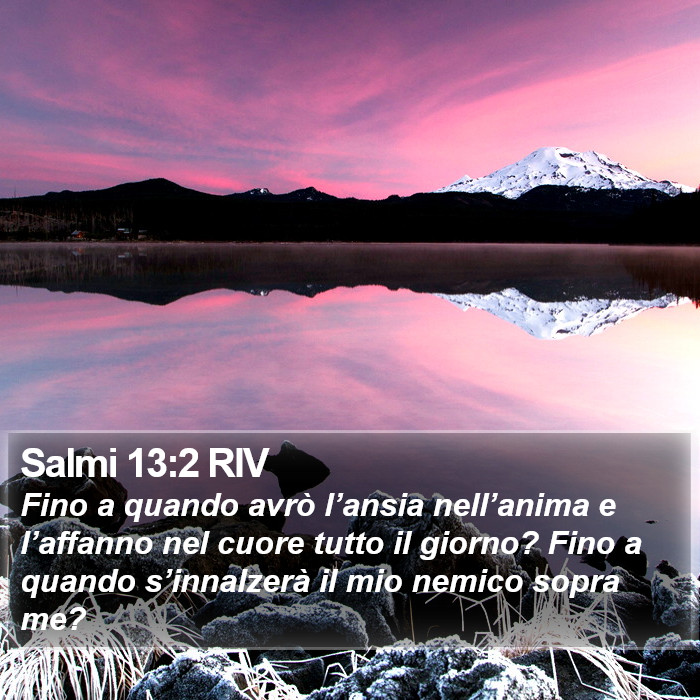 Salmi 13:2 RIV Bible Study