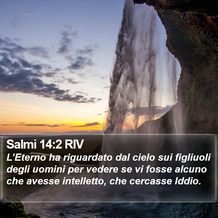 Salmi 14:2 RIV Bible Study