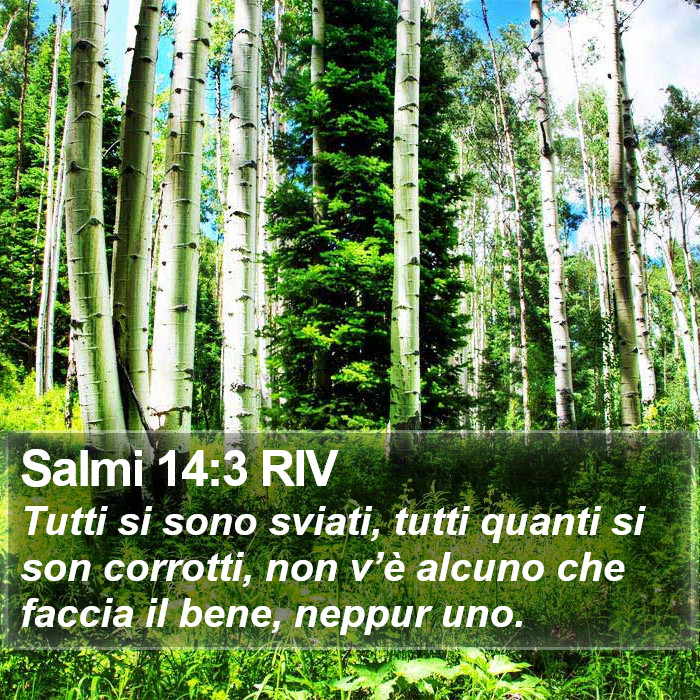 Salmi 14:3 RIV Bible Study