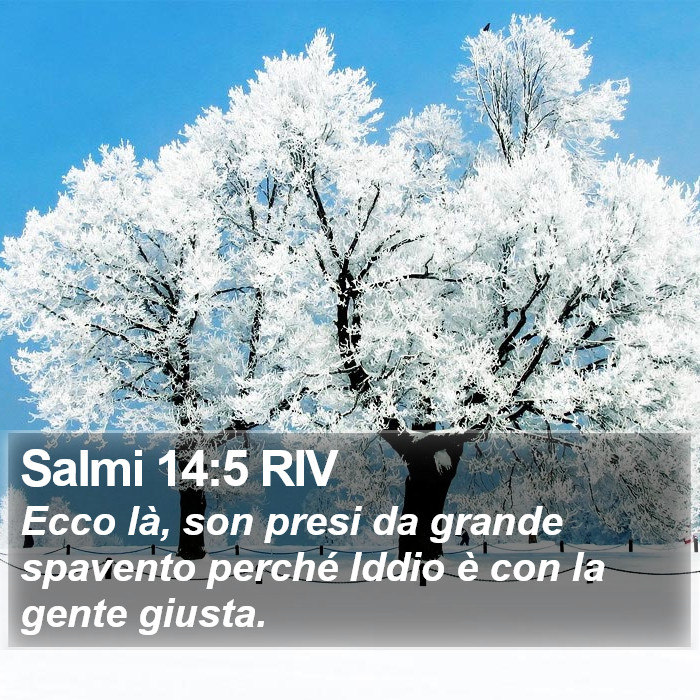 Salmi 14:5 RIV Bible Study