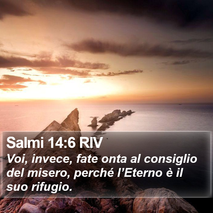 Salmi 14:6 RIV Bible Study