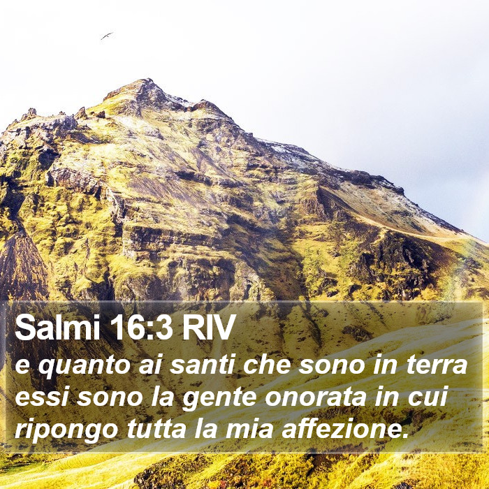 Salmi 16:3 RIV Bible Study