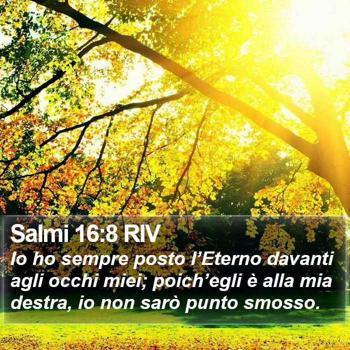 Salmi 16:8 RIV Bible Study