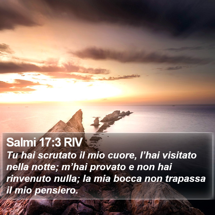 Salmi 17:3 RIV Bible Study