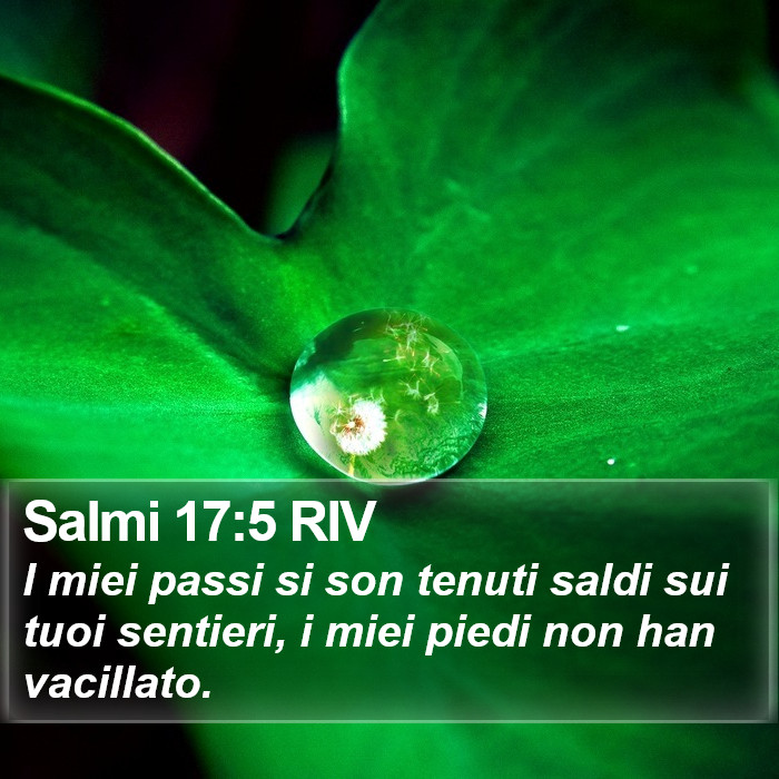 Salmi 17:5 RIV Bible Study