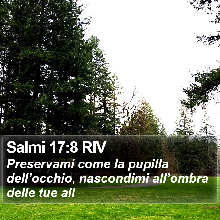 Salmi 17:8 RIV Bible Study