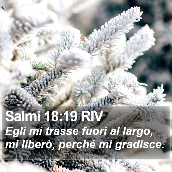Salmi 18:19 RIV Bible Study