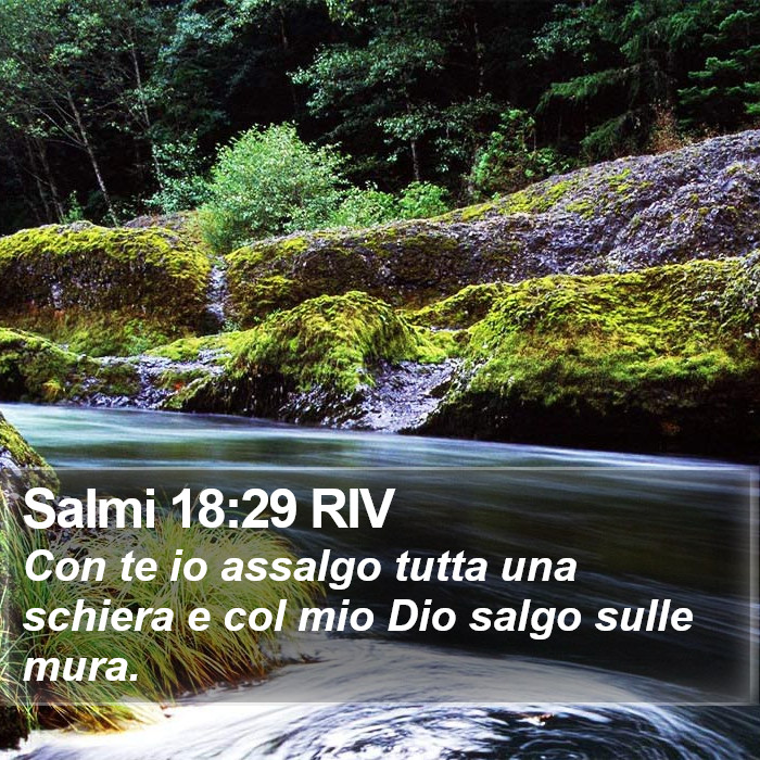 Salmi 18:29 RIV Bible Study