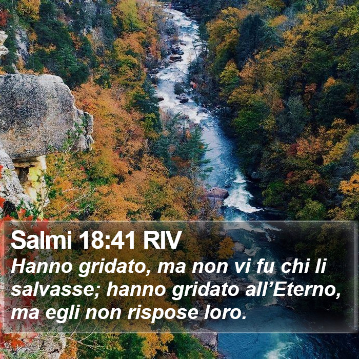 Salmi 18:41 RIV Bible Study