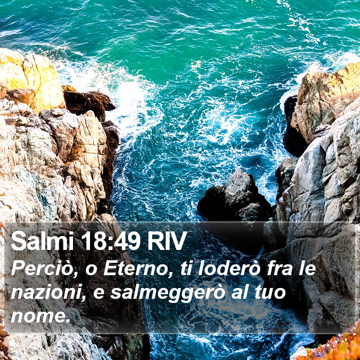 Salmi 18:49 RIV Bible Study