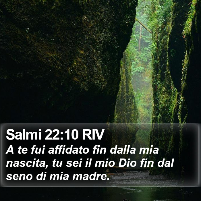 Salmi 22:10 RIV Bible Study
