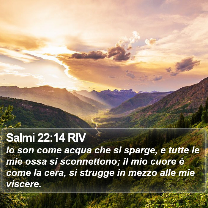 Salmi 22:14 RIV Bible Study