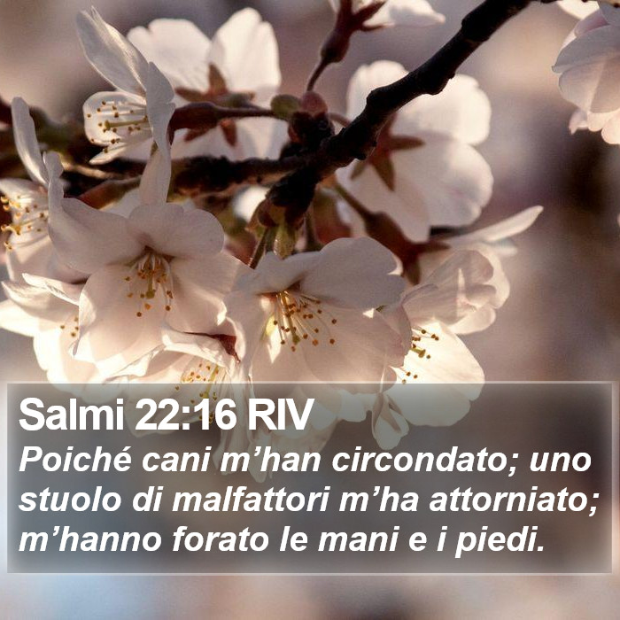 Salmi 22:16 RIV Bible Study