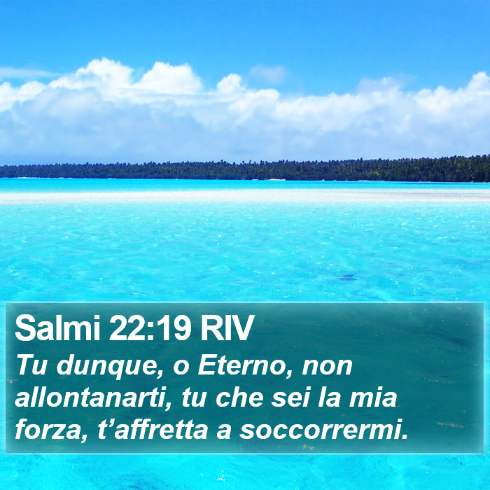 Salmi 22:19 RIV Bible Study