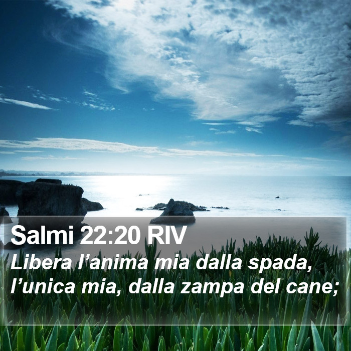 Salmi 22:20 RIV Bible Study