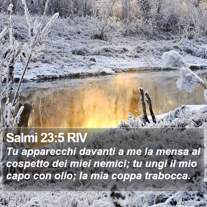 Salmi 23:5 RIV Bible Study